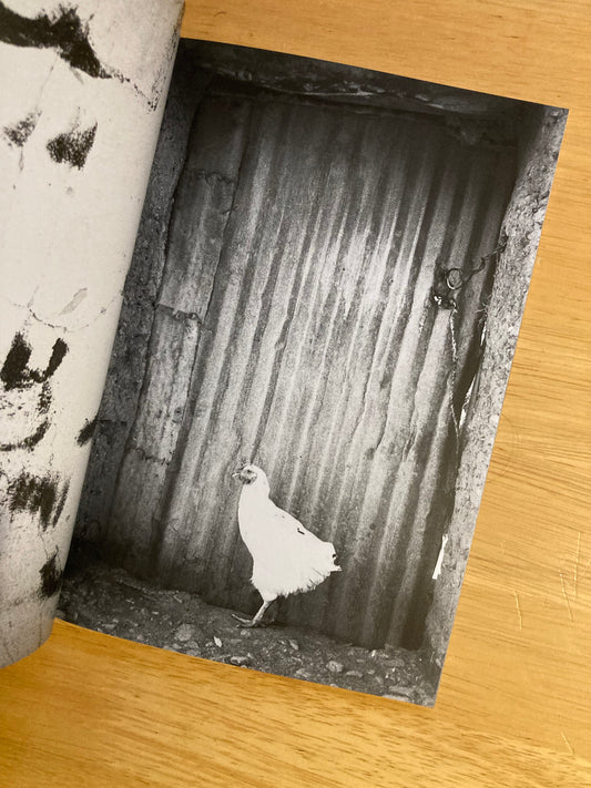 Auto Focus 6: Somewhere in Morocco