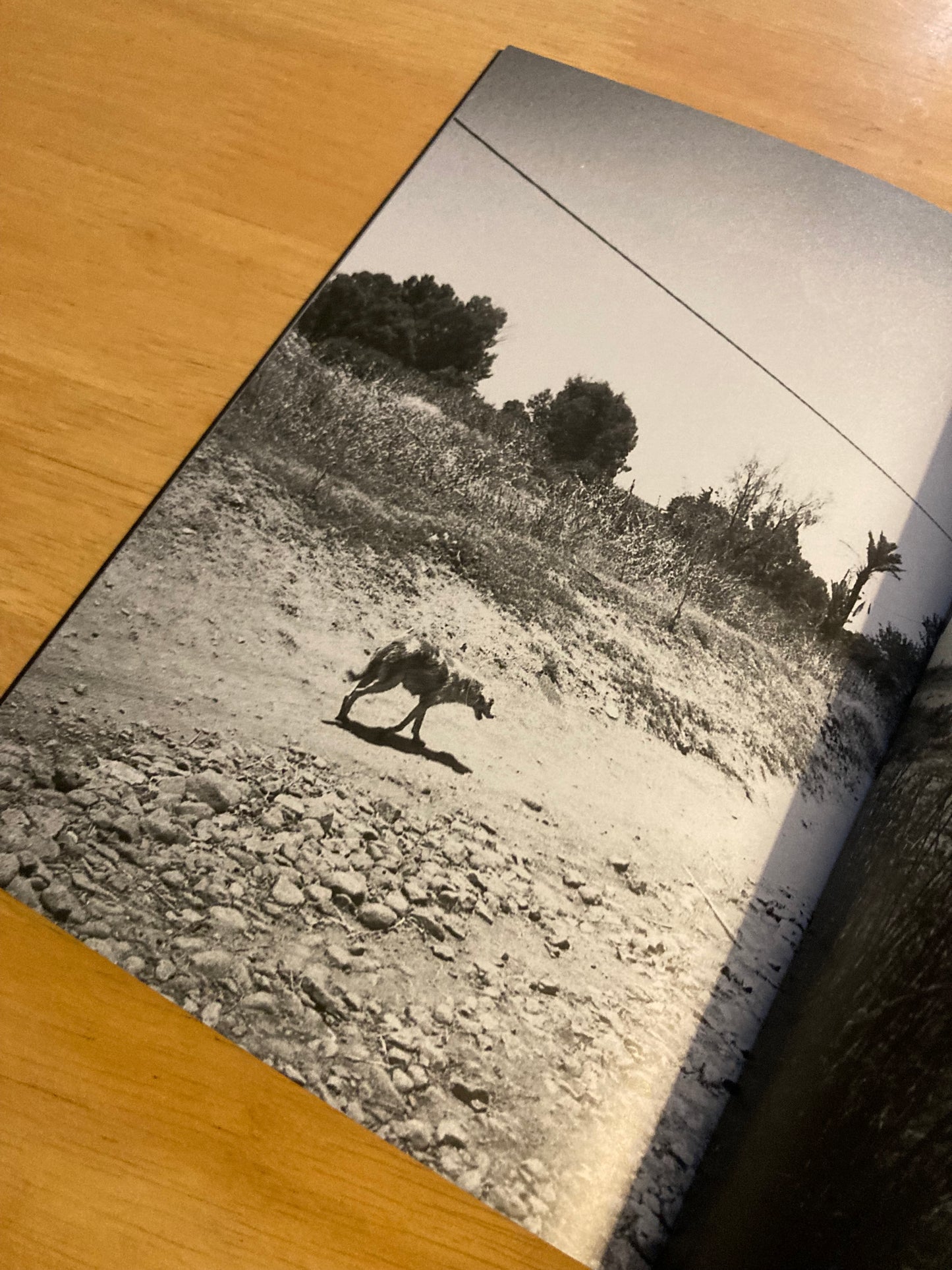 Auto Focus 6: Somewhere in Morocco