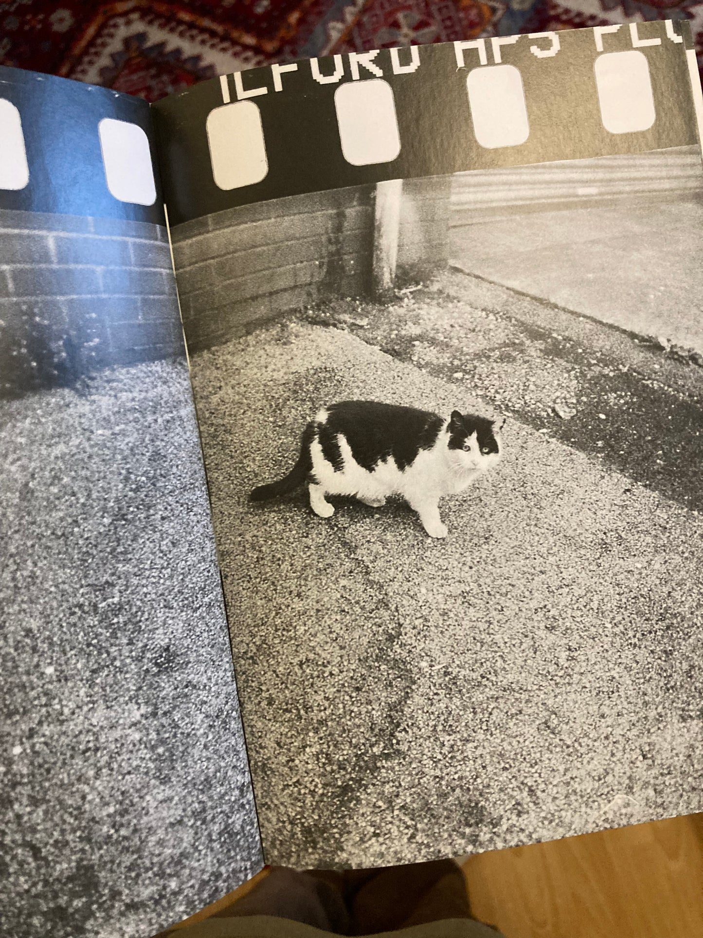 Auto Focus 5: Easter Sunday