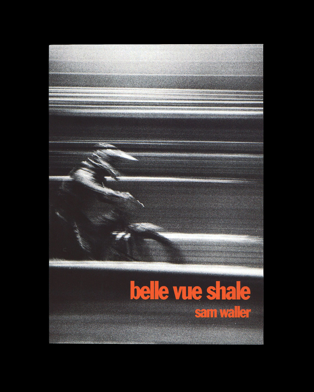 Belle Vue Shale - Sam Waller