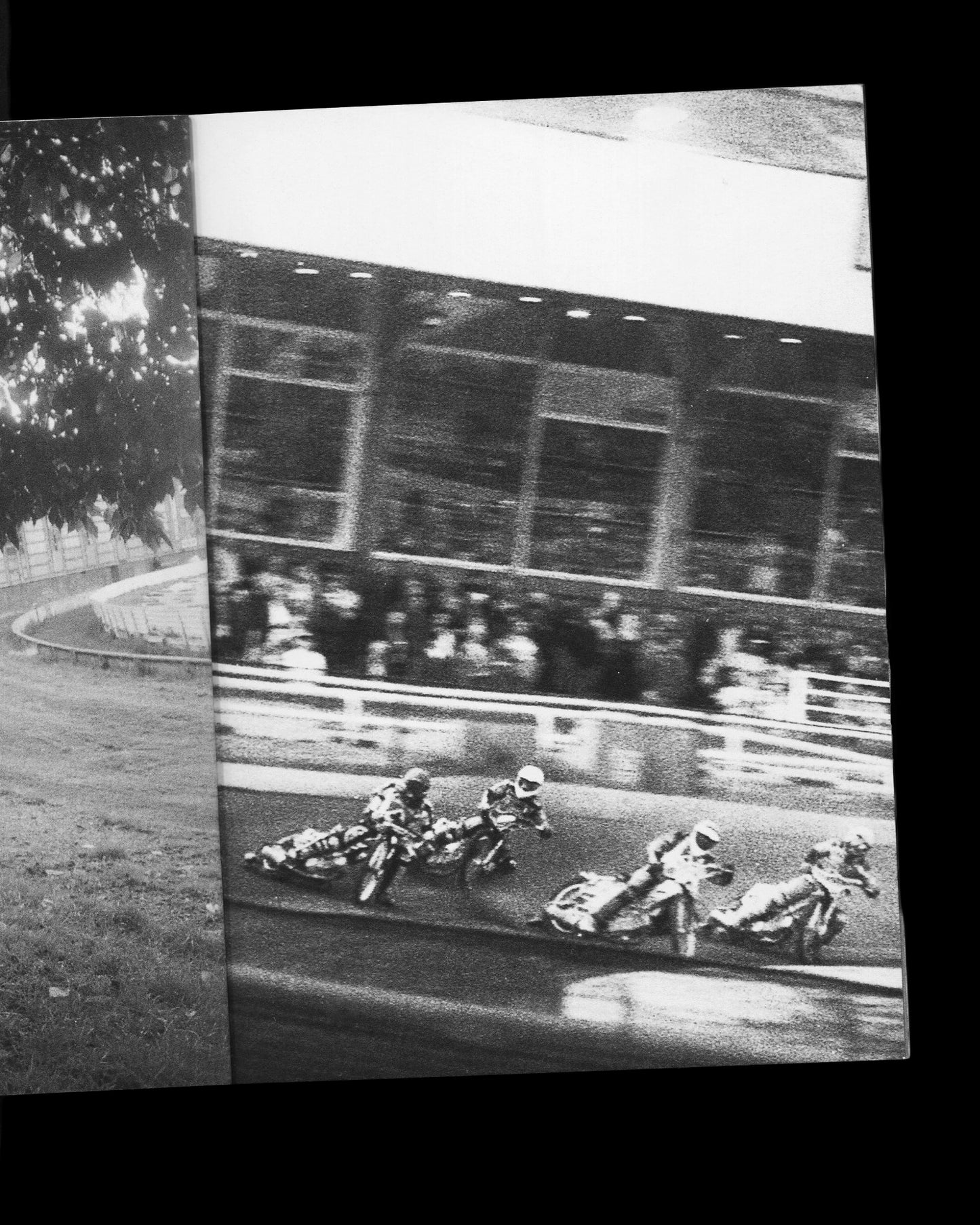 Belle Vue Shale - Sam Waller